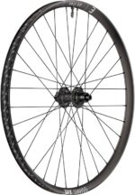 DT Swiss EX 1700 Classic 30 29" 6-Loch Boost Hinterrad